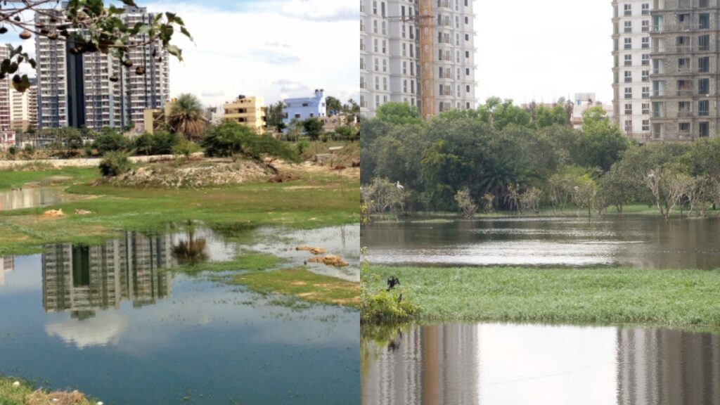 Bengaluru Lake