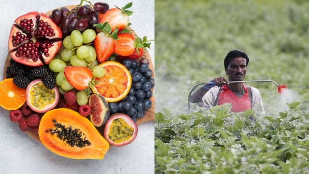 Fruits